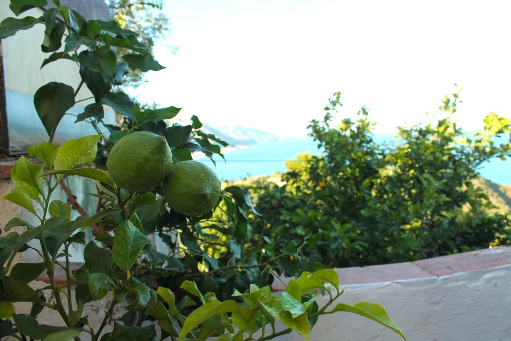 Casa La Via Del Mare 3*
